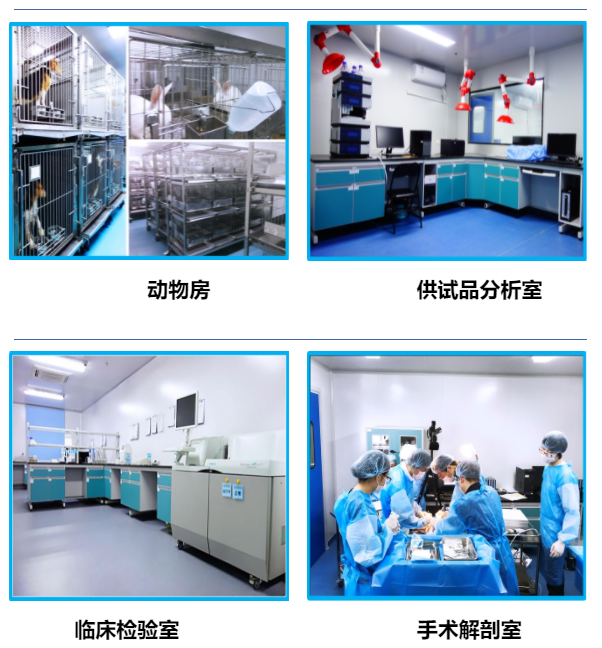 1066vip����˹(�й�)���޹�˾-BinG�ٿ�