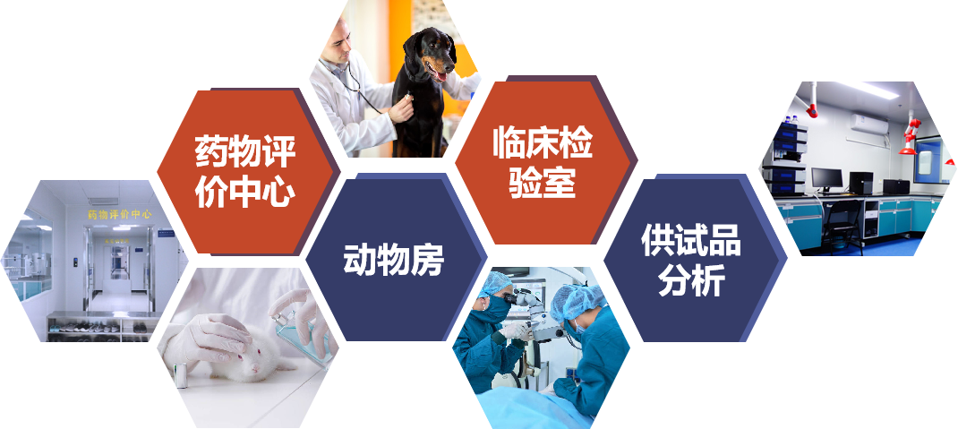 1066vip����˹(�й�)���޹�˾-BinG�ٿ�