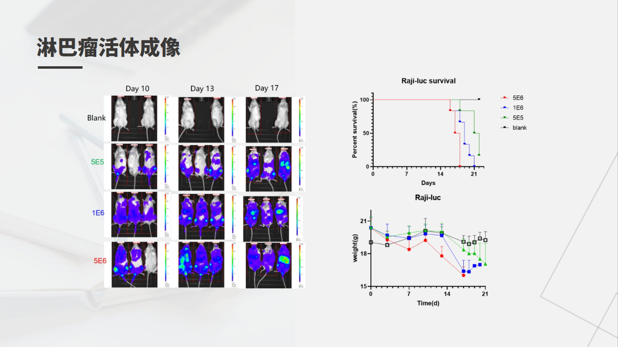 1066vip����˹(�й�)���޹�˾-BinG�ٿ�