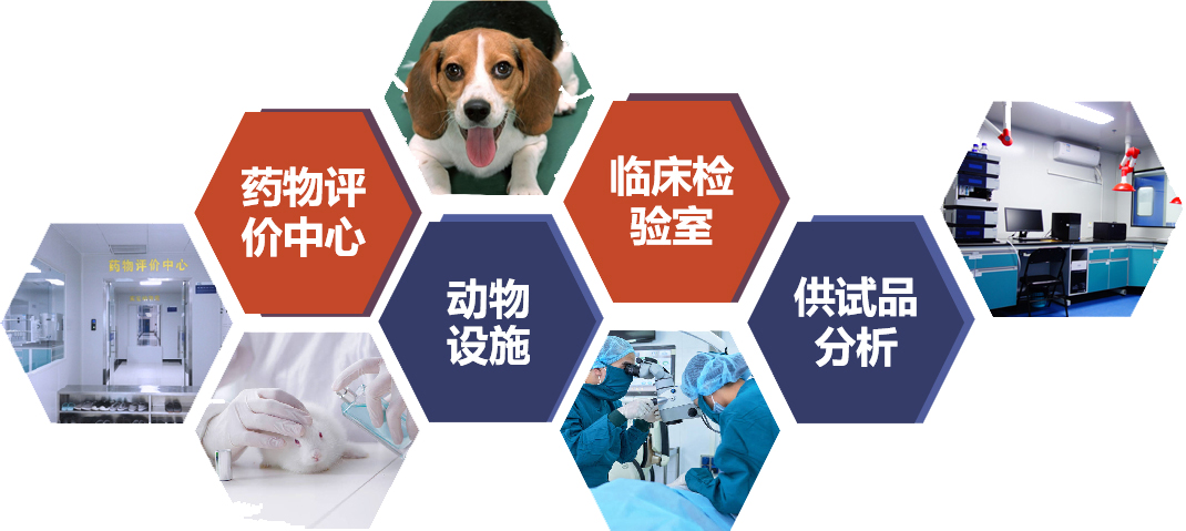 1066vip����˹(�й�)���޹�˾-BinG�ٿ�