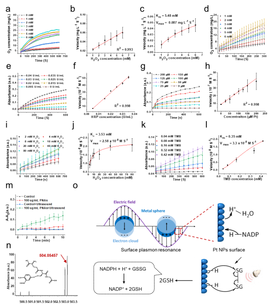 1066vip����˹(�й�)���޹�˾-BinG�ٿ�