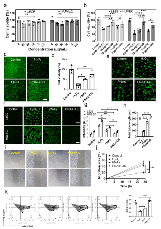 1066vip����˹(�й�)���޹�˾-BinG�ٿ�