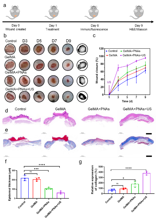 1066vip����˹(�й�)���޹�˾-BinG�ٿ�