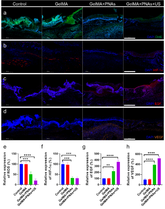 1066vip����˹(�й�)���޹�˾-BinG�ٿ�