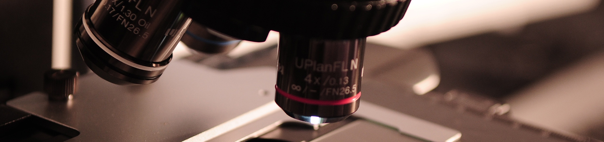 1066vip����˹(�й�)���޹�˾-BinG�ٿ�