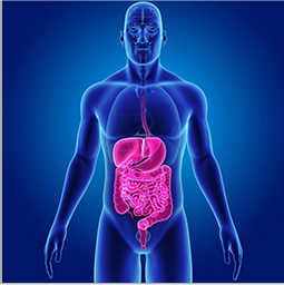 �ٴ�������Ӫ����������ϵͳ����������ϵͳ����������/���Լ������ǿ�/������ؼ�������ϵͳ������ѪҺ����Ѫ�Լ�����Ƥ����������������и�����