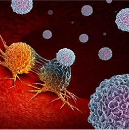 һ������ҩ������Ԥ����Ƭ��ҩ����������HIVѬȾ��������III�������������